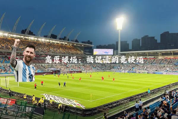 高原球场：被误读的竞技场